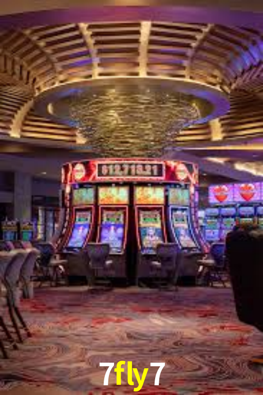 Premium Interface 7fly7